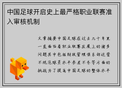 中国足球开启史上最严格职业联赛准入审核机制